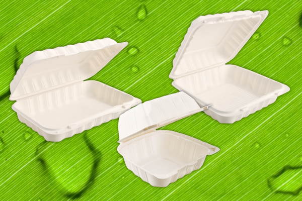 biodegradable food containers