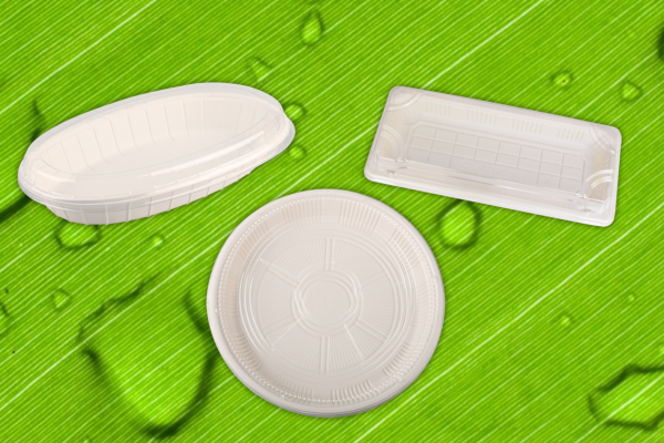 Biodegradable foodservice trays
