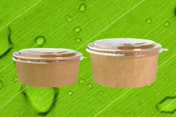 kraft paper bowls for foodservice