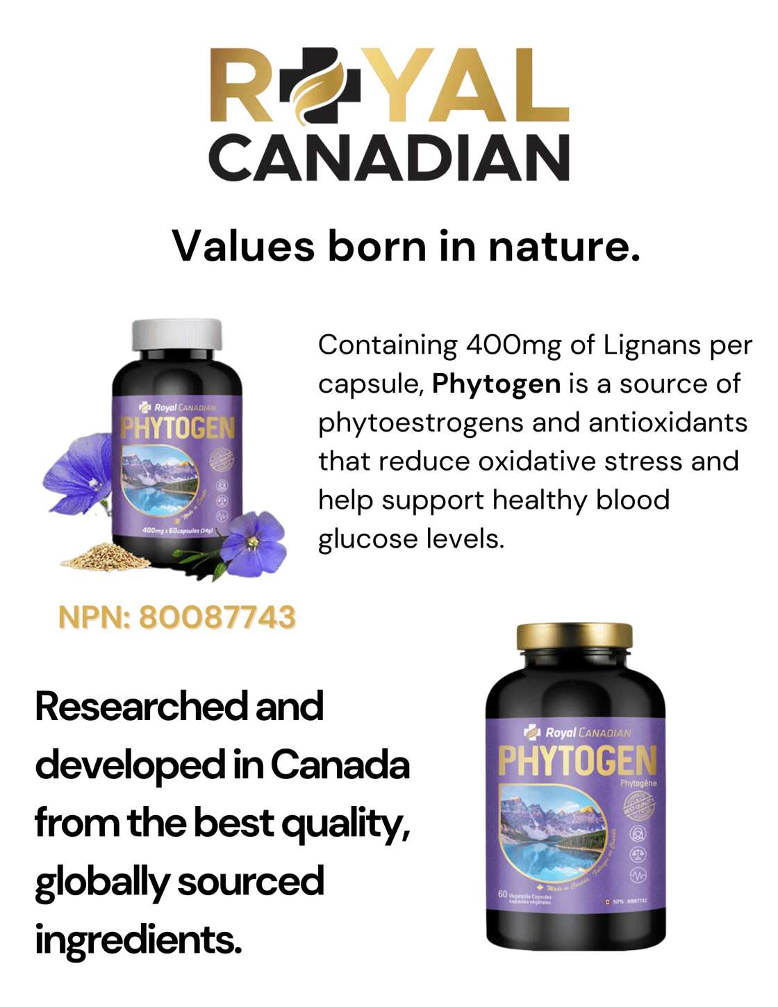 With 400mg of Lignans per capsule, Phytogen is a source of phytoestrogens and antioxidants that reduce oxidative stress and help support healthy blood glucose levels. (1)