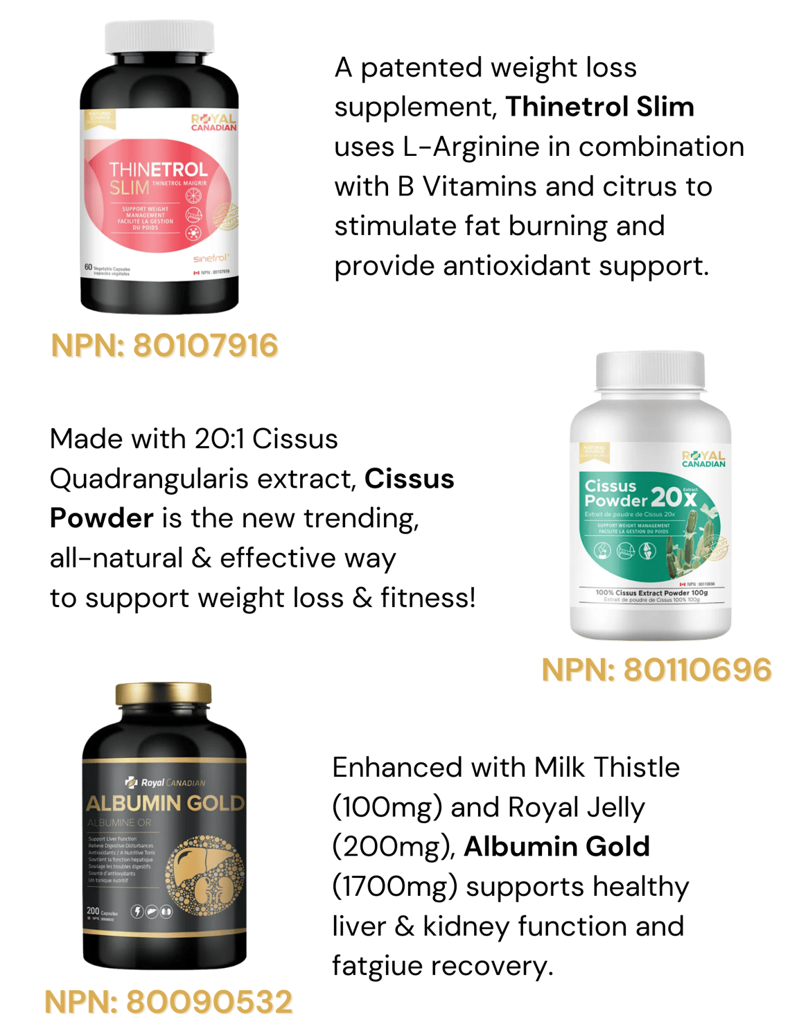 With 400mg of Lignans per capsule, Phytogen is a source of phytoestrogens and antioxidants that reduce oxidative stress and help support healthy blood glucose levels. (2)