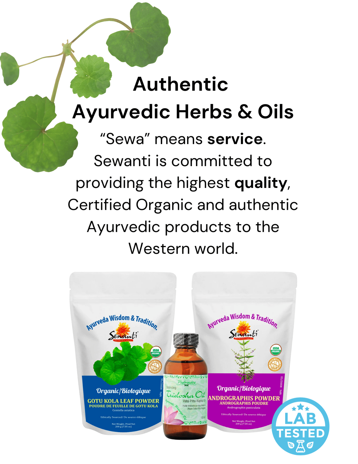 ayurvedic herbs & oils