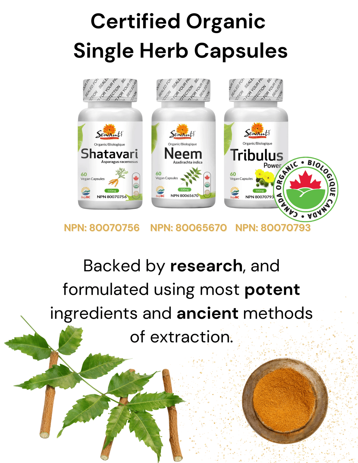 certified organic single herb ayurvedic capsules